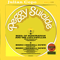Julian Cope - Head