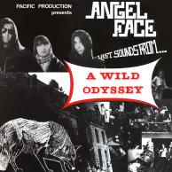 Angel Face - A Wild Odyssey