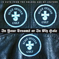 Blue Oyster Cult - In Your Dreams Or In My Hole