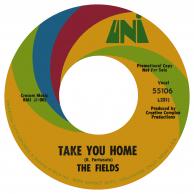 The Fields - Bide My Time/Take You Home