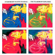 The Teardrop Explodes - Everybody Wants To Shag...
