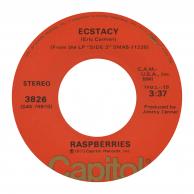 Raspberries - Ecstasy/I Don't Want To Say Goodbye