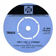 The Troggs - Everything's Funny/Feels Like A Woman