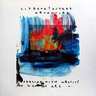 Vibracathedral Orchestra - Dabbling With Gravity & Who You Are